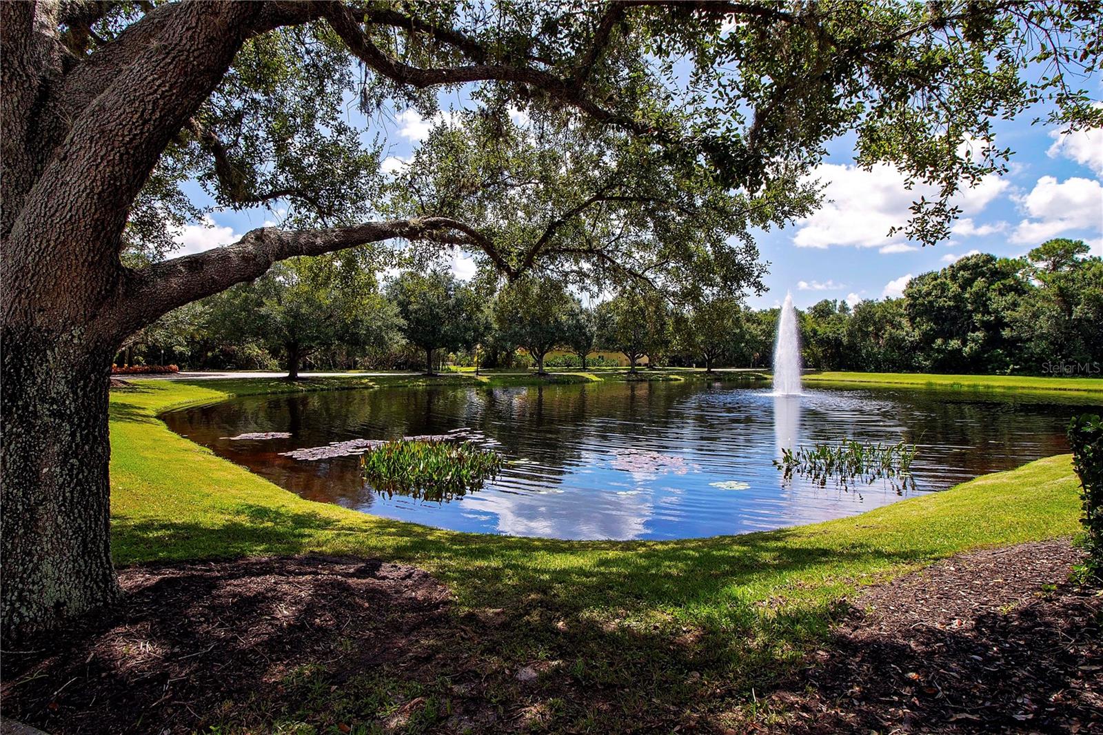 349 BLACKBIRD CT, BRADENTON, FL, 34212