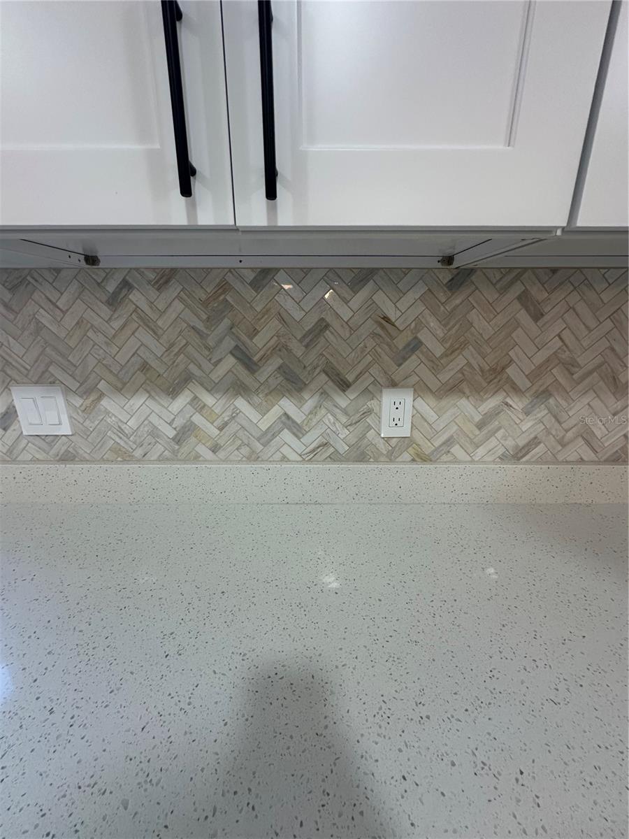 12029 PICALILLI ST, ORLANDO, FL, 32837