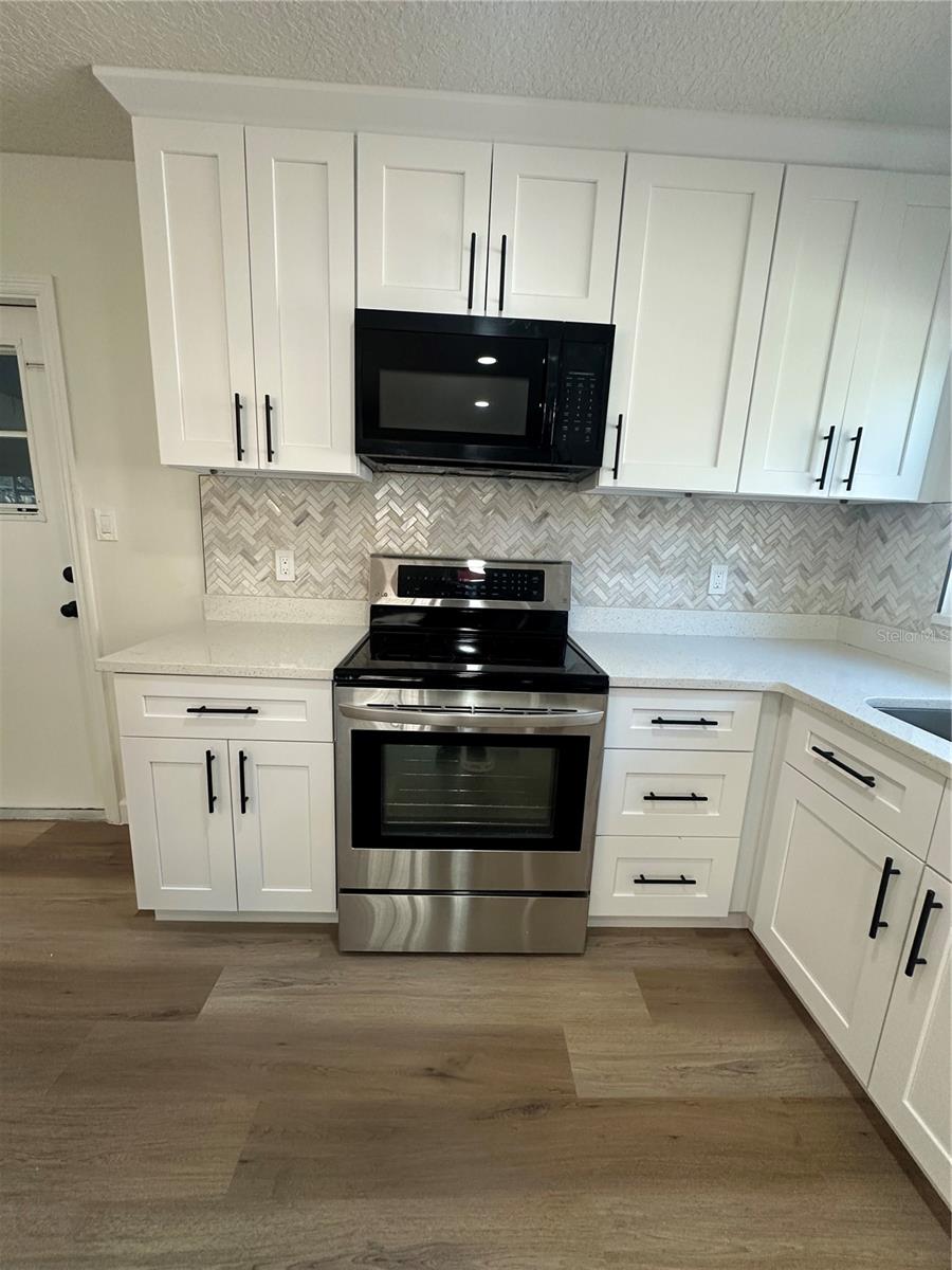 12029 PICALILLI ST, ORLANDO, FL, 32837