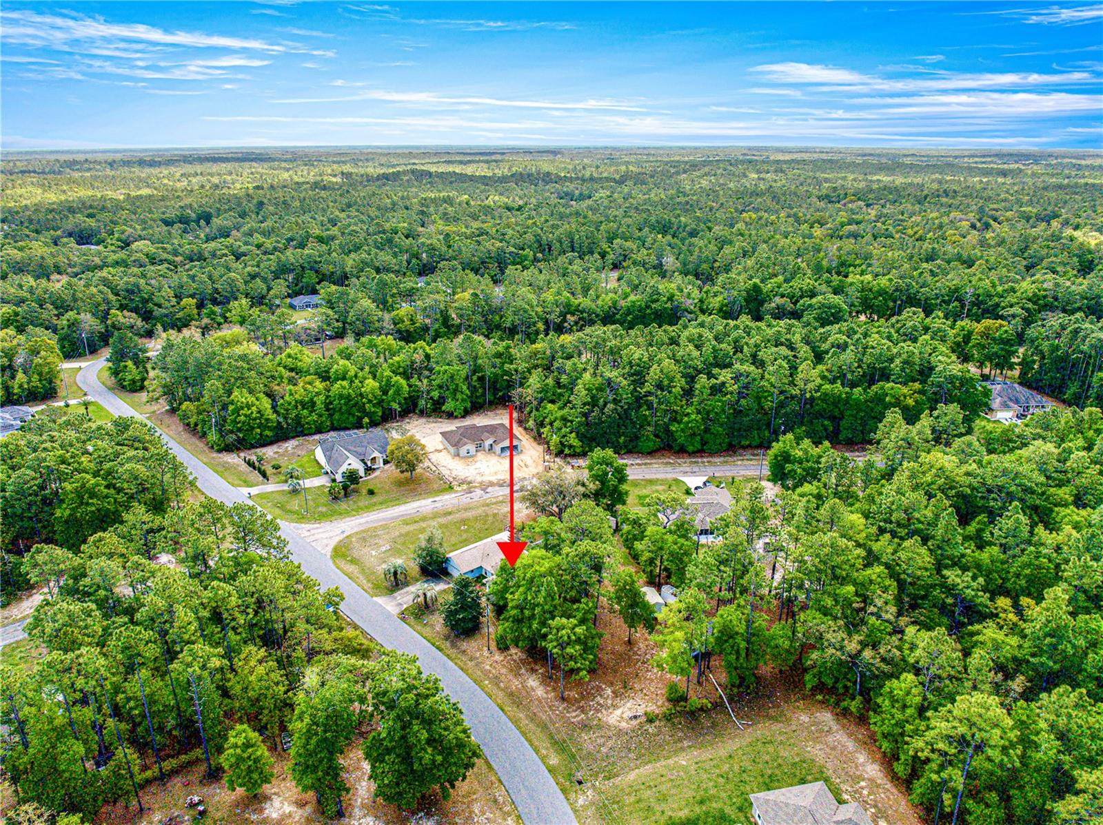 10012 N LANGDON RD, CITRUS SPRINGS, FL, 34434