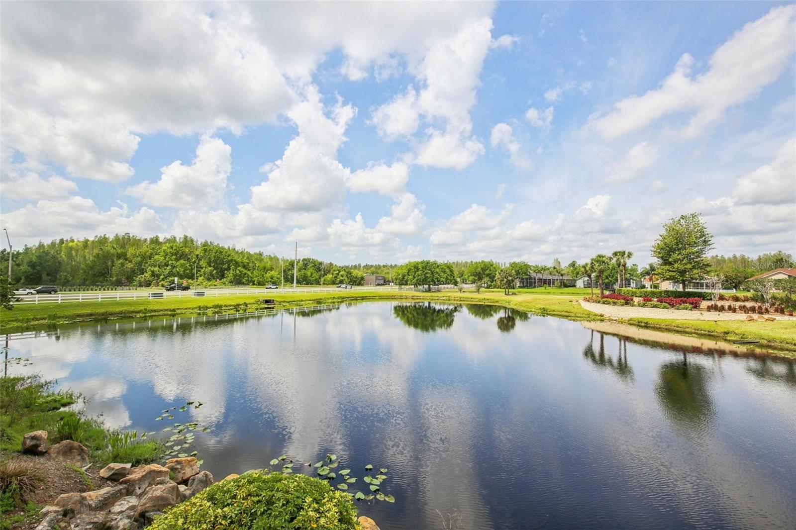 18187 PARADISE POINT DR, TAMPA, FL, 33647