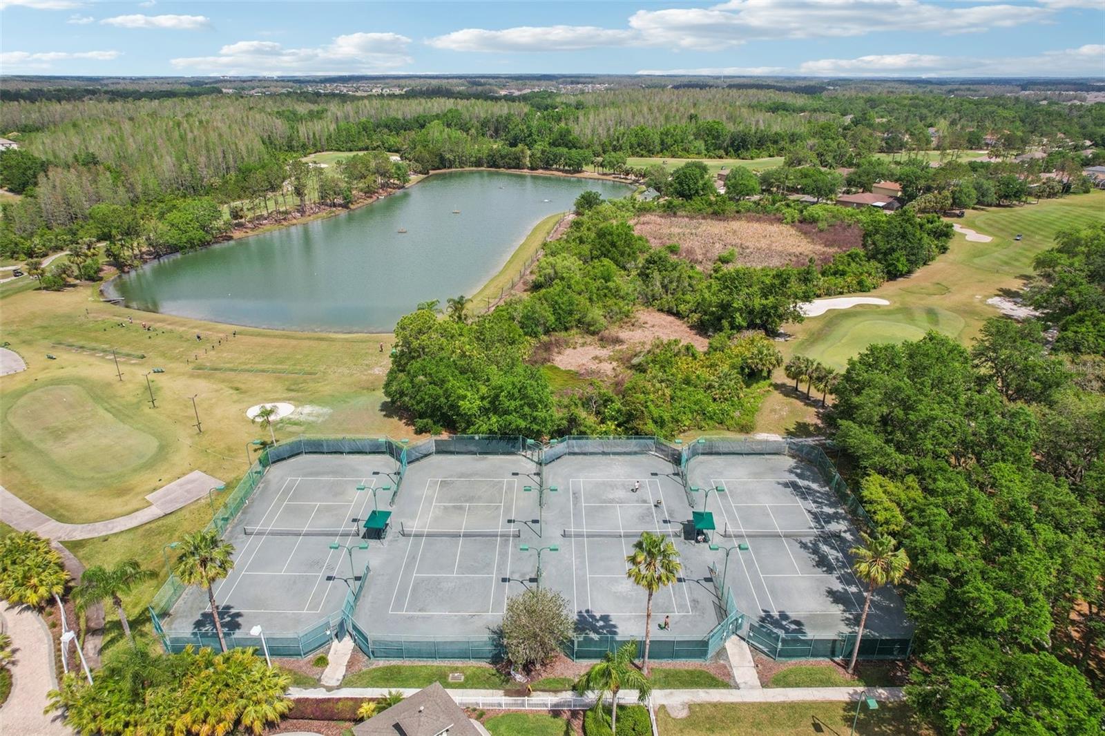 18187 PARADISE POINT DR, TAMPA, FL, 33647