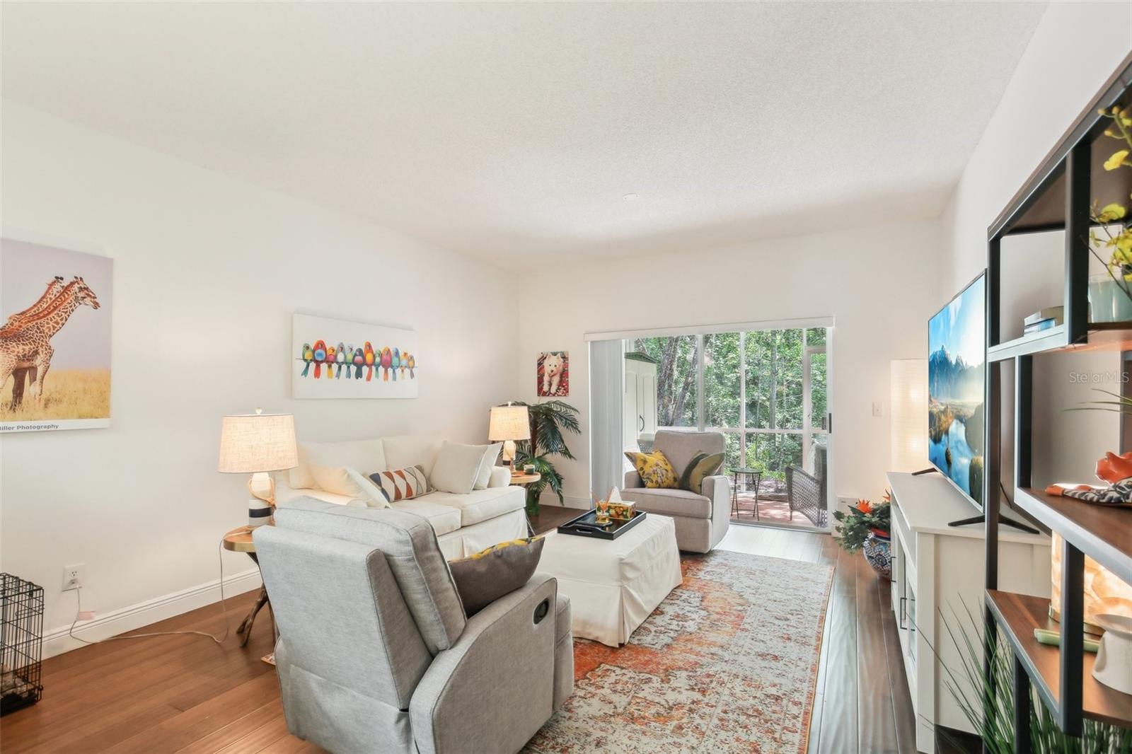 18187 PARADISE POINT DR, TAMPA, FL, 33647