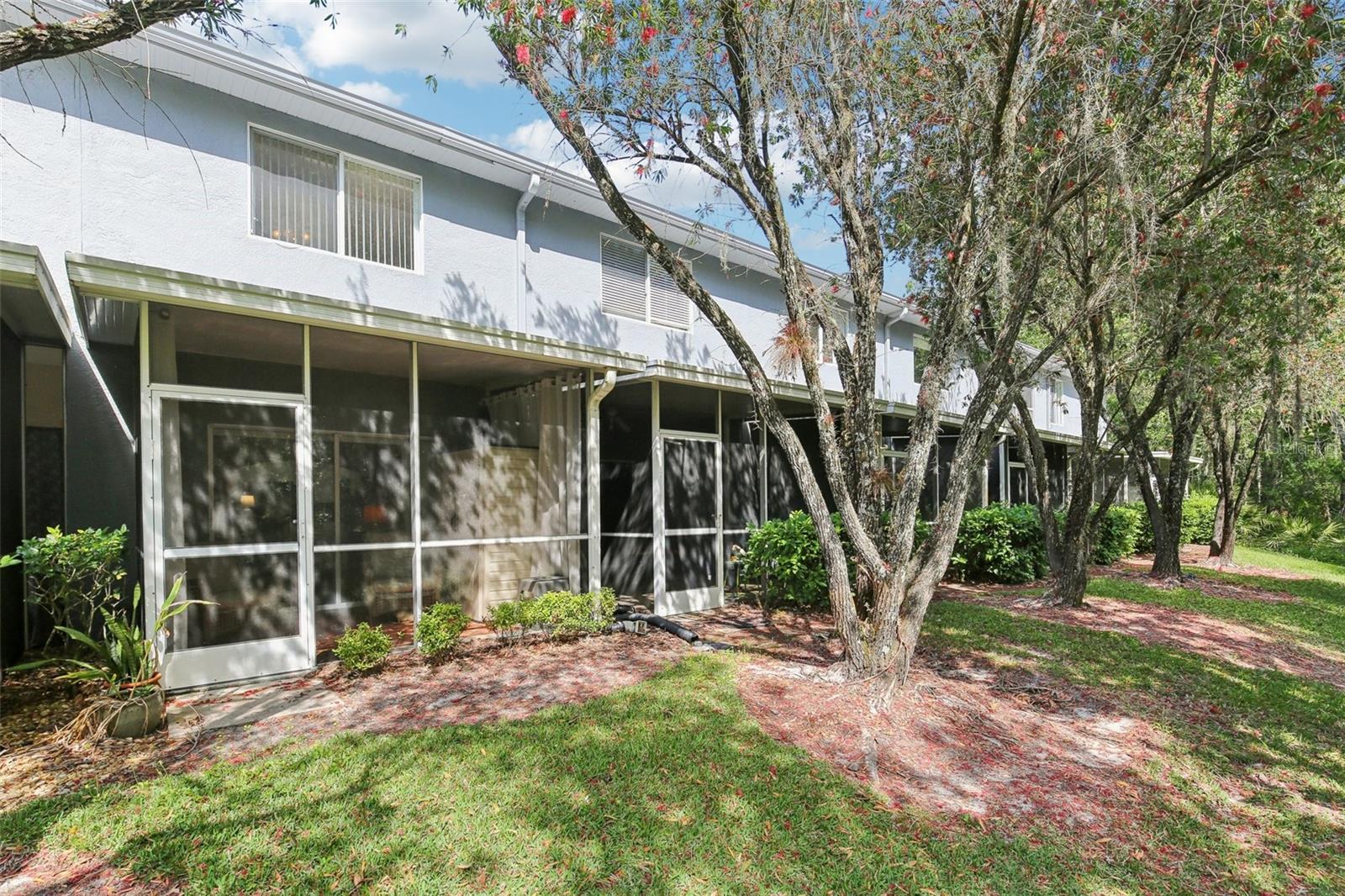 18187 PARADISE POINT DR, TAMPA, FL, 33647