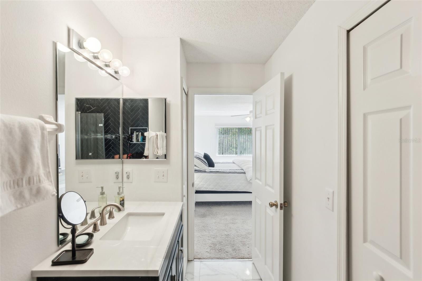 18187 PARADISE POINT DR, TAMPA, FL, 33647