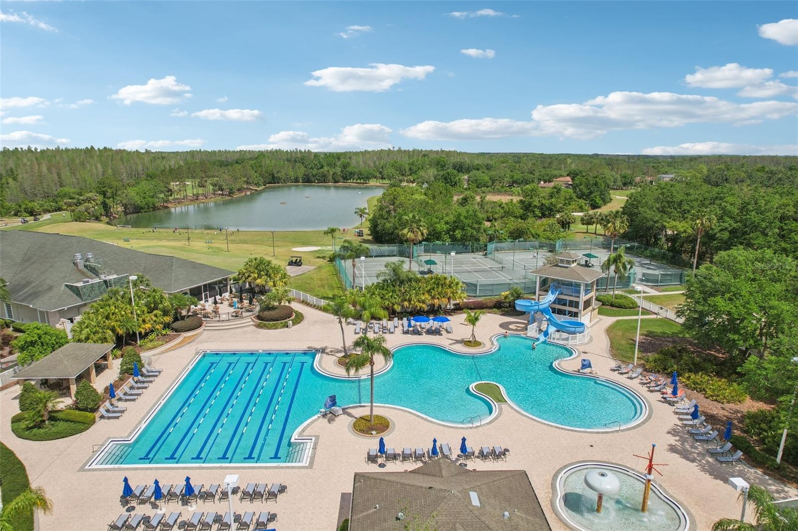 18187 PARADISE POINT DR, TAMPA, FL, 33647