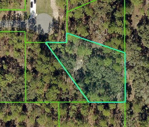 11342 TELEPHONE RD, WEEKI WACHEE, FL, 34614