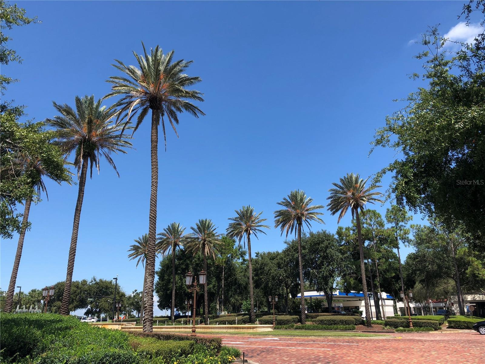7065 WESTPOINTE BLVD #203, ORLANDO, FL, 32835