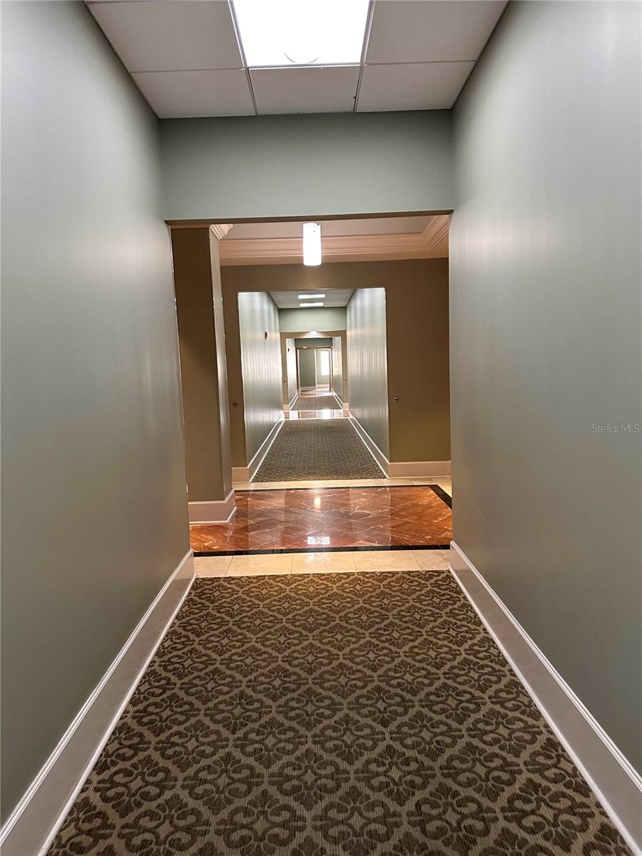 7065 WESTPOINTE BLVD #203, ORLANDO, FL, 32835