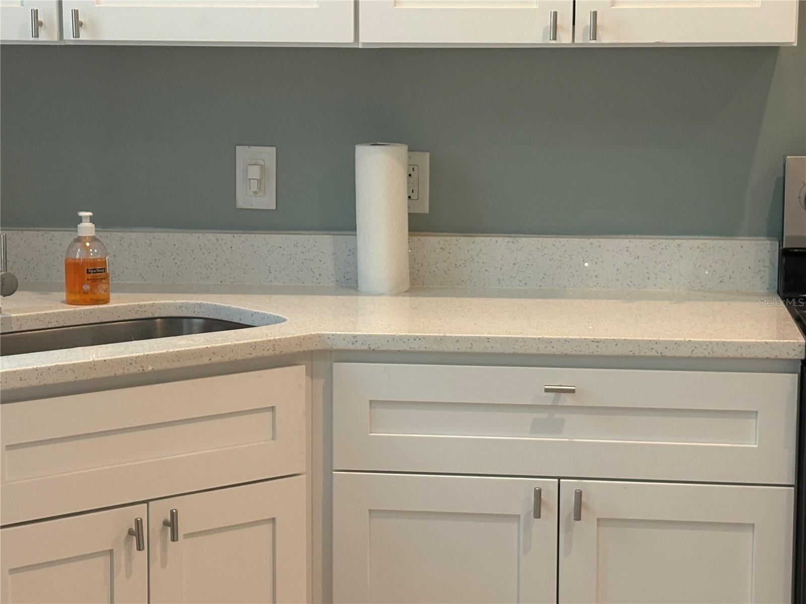 13018 S SUNSET TER, WINTER GARDEN, FL, 34787