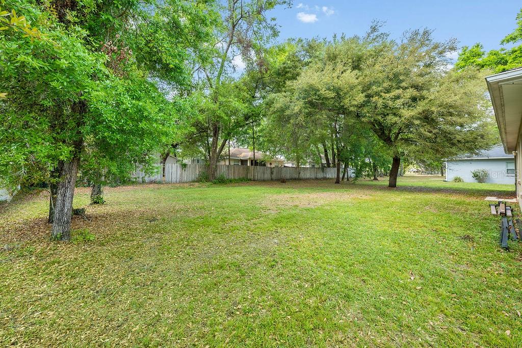 304 WOODS LANDING DR, LADY LAKE, FL, 32159