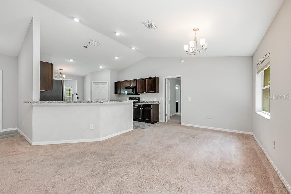 304 WOODS LANDING DR, LADY LAKE, FL, 32159