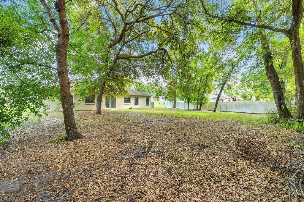 304 WOODS LANDING DR, LADY LAKE, FL, 32159