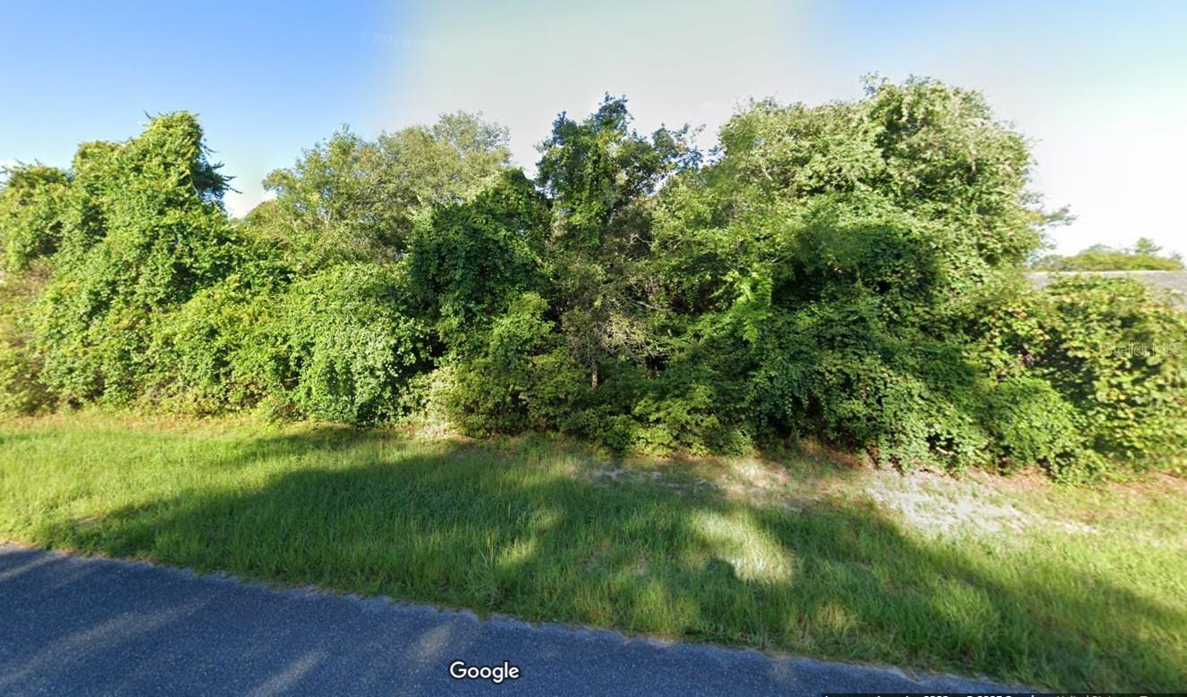 TBD SW 24TH CIR, OCALA, FL, 34473