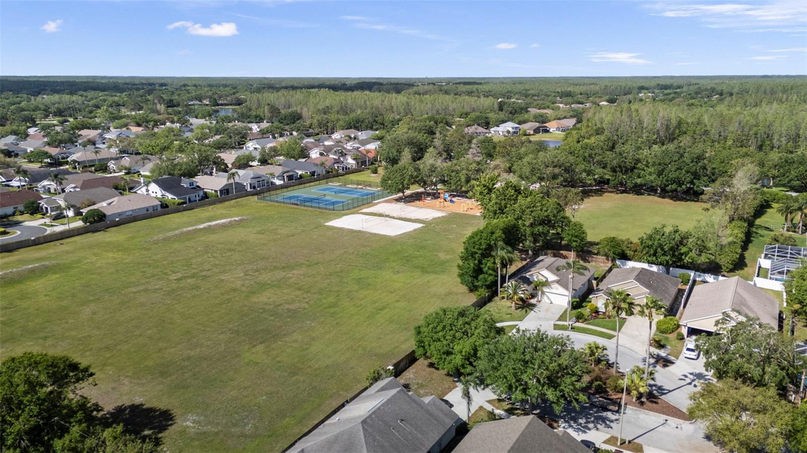 4502 WILD PLUM LN, LUTZ, FL, 33558