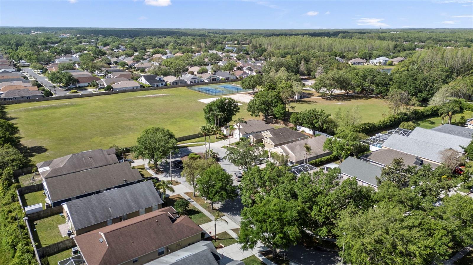 4502 WILD PLUM LN, LUTZ, FL, 33558