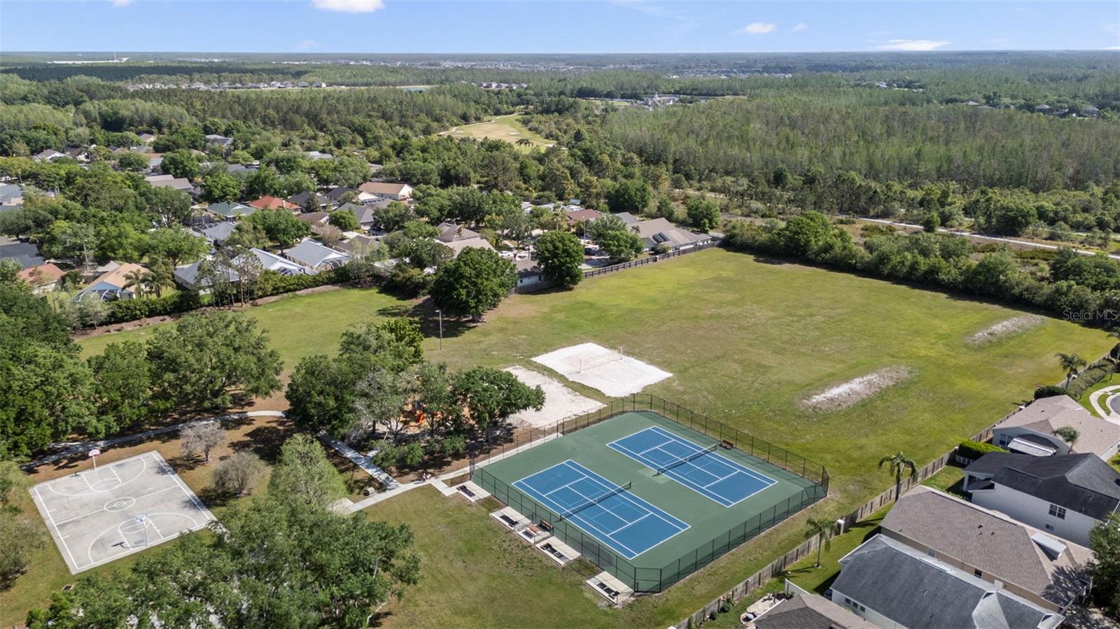 4502 WILD PLUM LN, LUTZ, FL, 33558