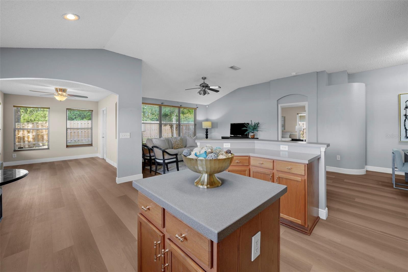 4502 WILD PLUM LN, LUTZ, FL, 33558