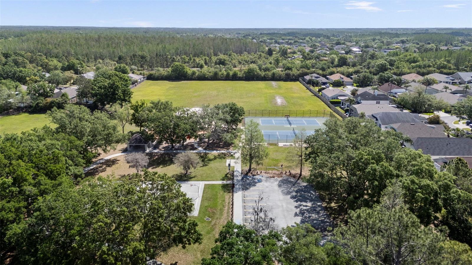 4502 WILD PLUM LN, LUTZ, FL, 33558