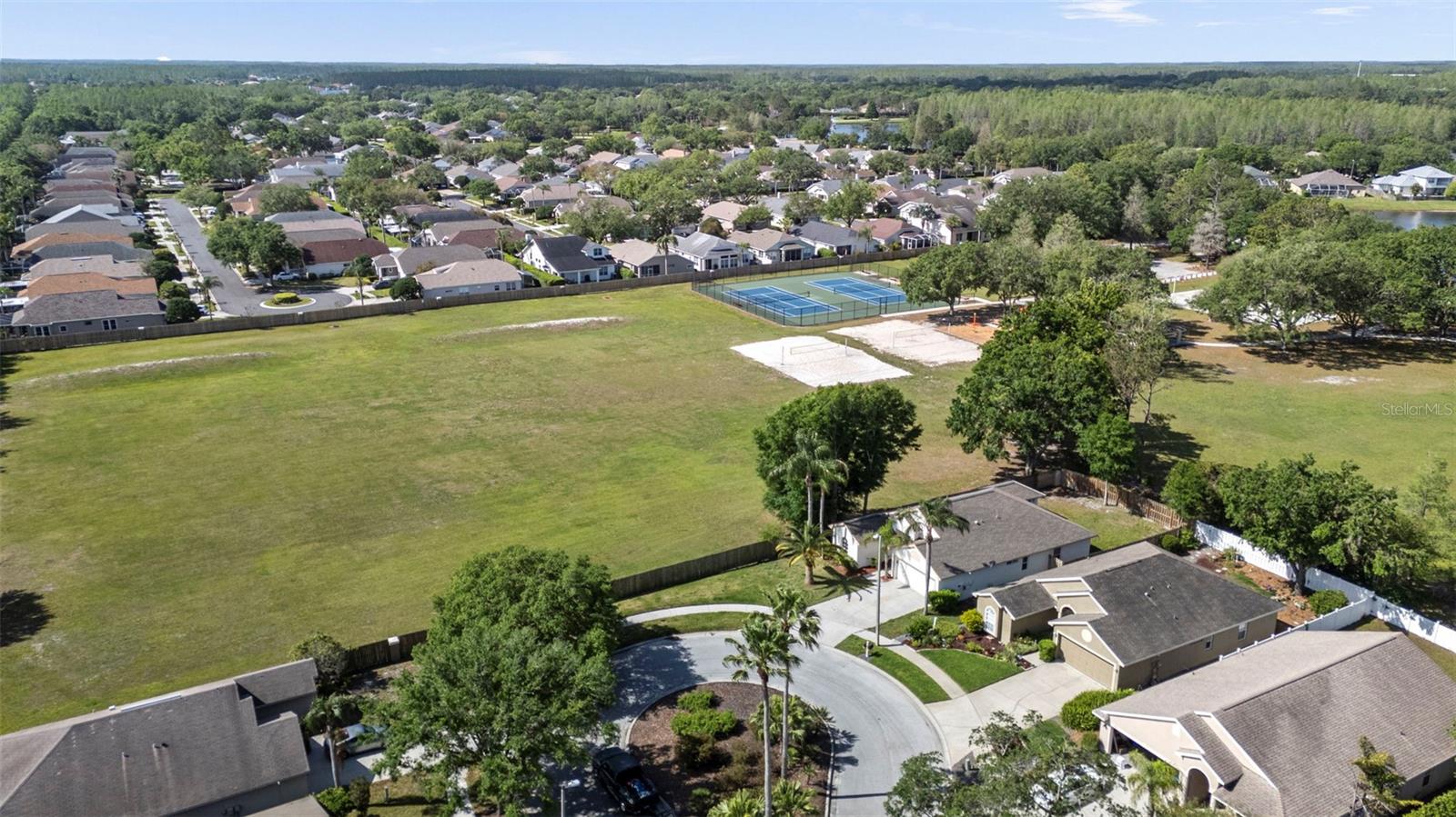 4502 WILD PLUM LN, LUTZ, FL, 33558