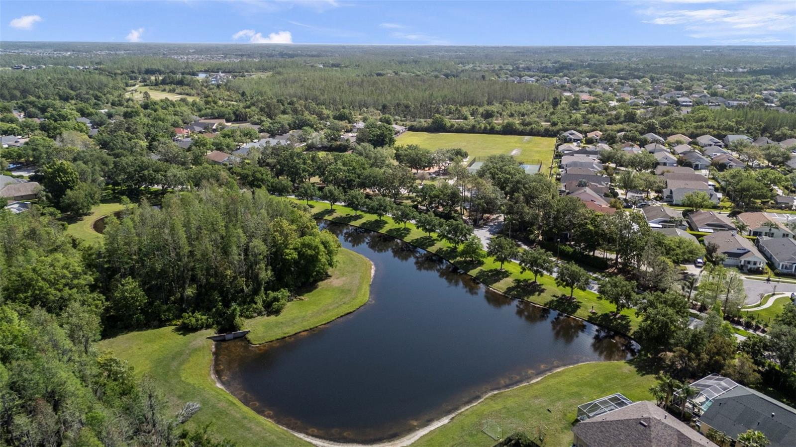4502 WILD PLUM LN, LUTZ, FL, 33558