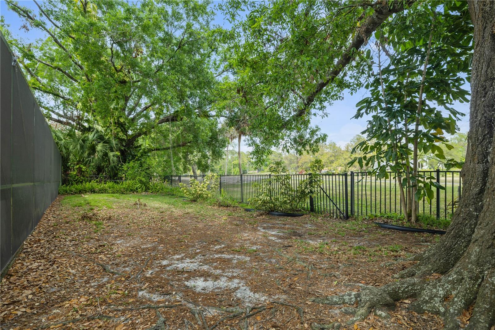 13307 MEADOWWOOD CT, TAMPA, FL, 33618