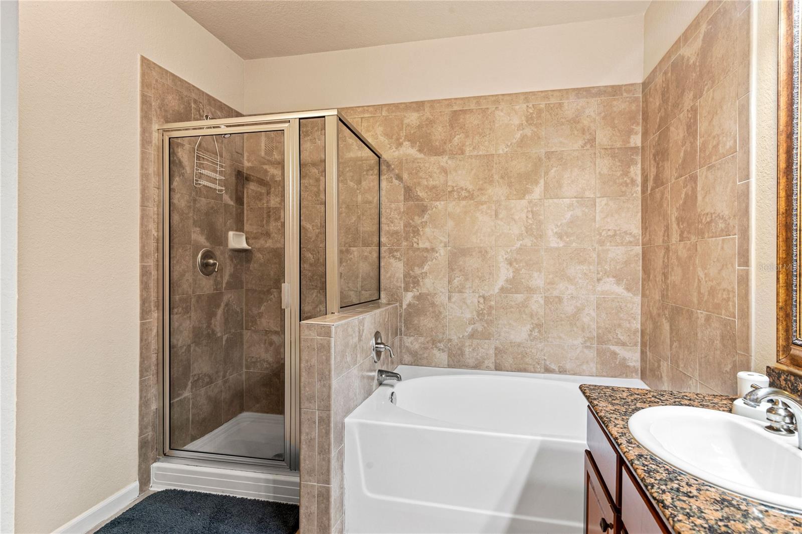 906 CHARO PKWY #414, DAVENPORT, FL, 33897