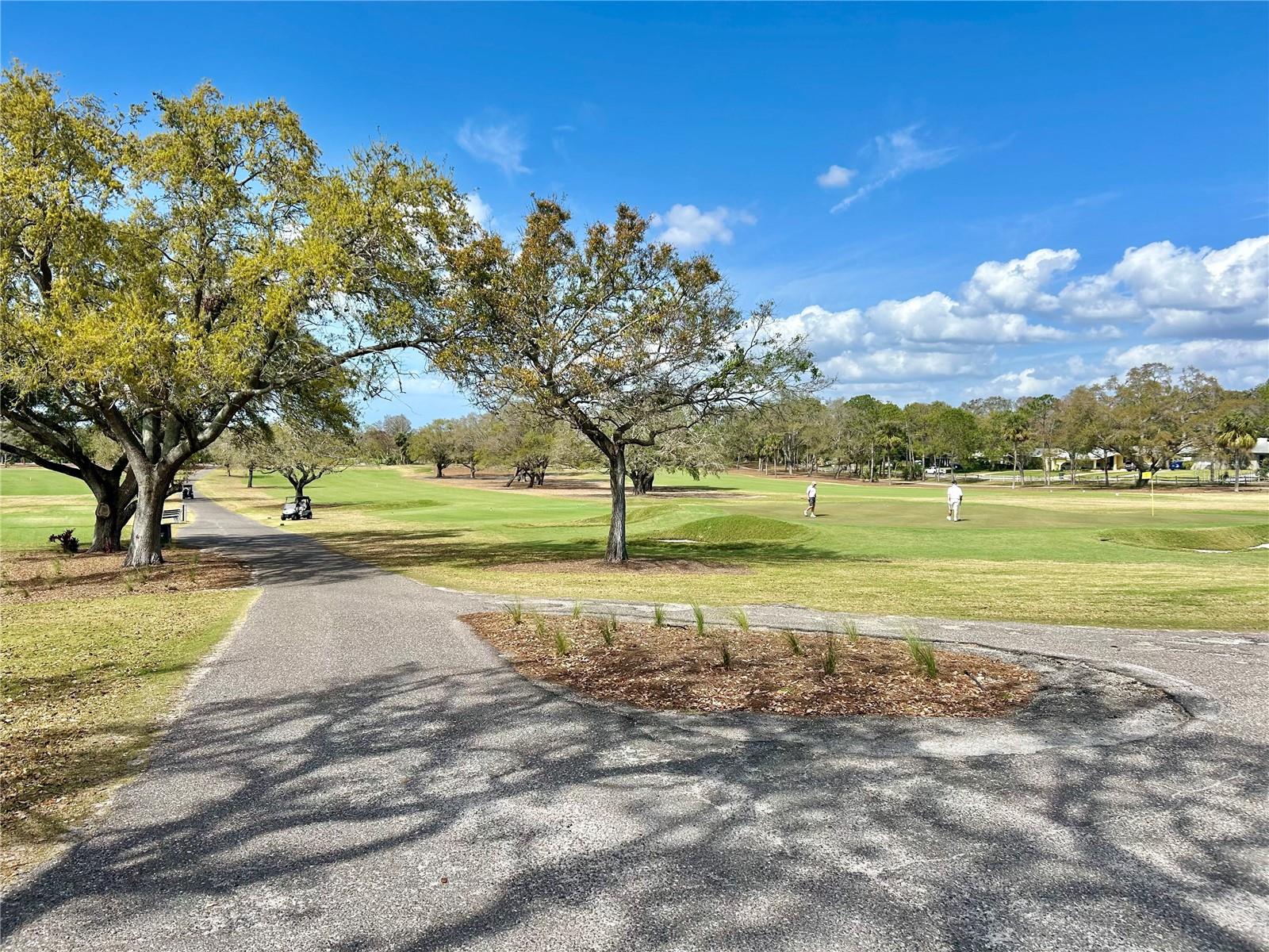 2202 HIGHWOOD CT, DUNEDIN, FL, 34698