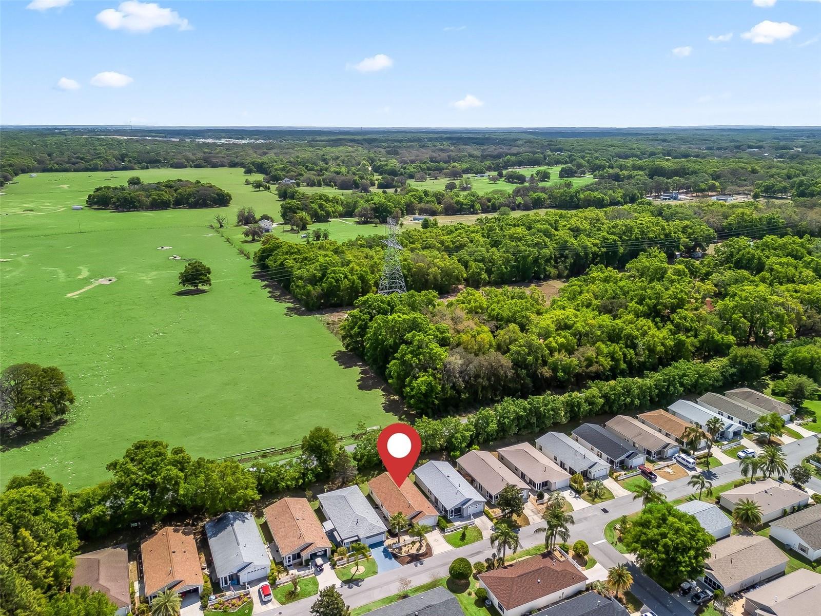 1671 SELLERS CT, THE VILLAGES, FL, 32162