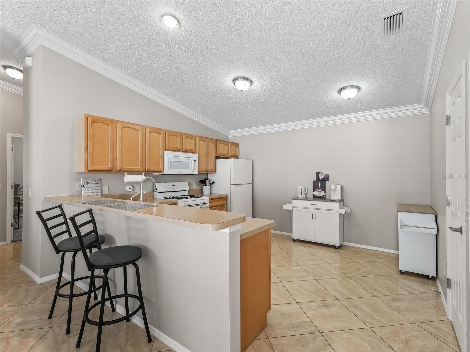 1671 SELLERS CT, THE VILLAGES, FL, 32162