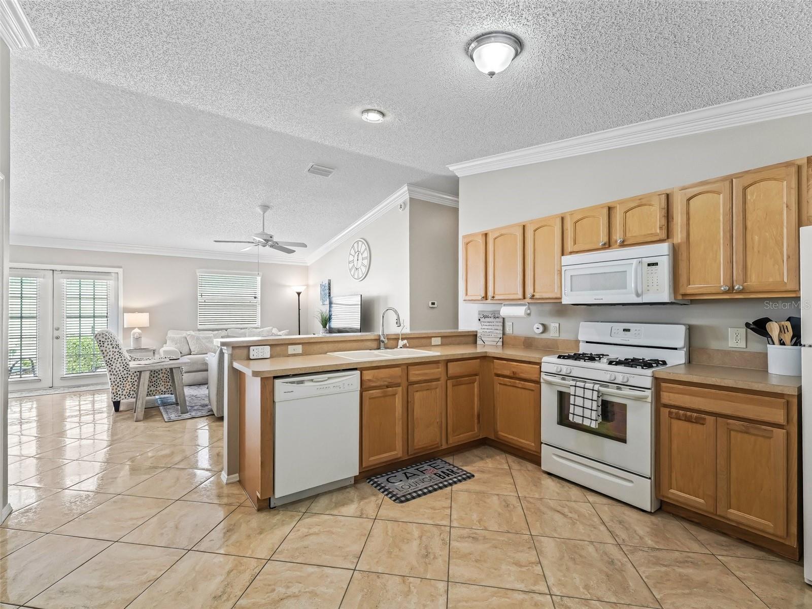 1671 SELLERS CT, THE VILLAGES, FL, 32162