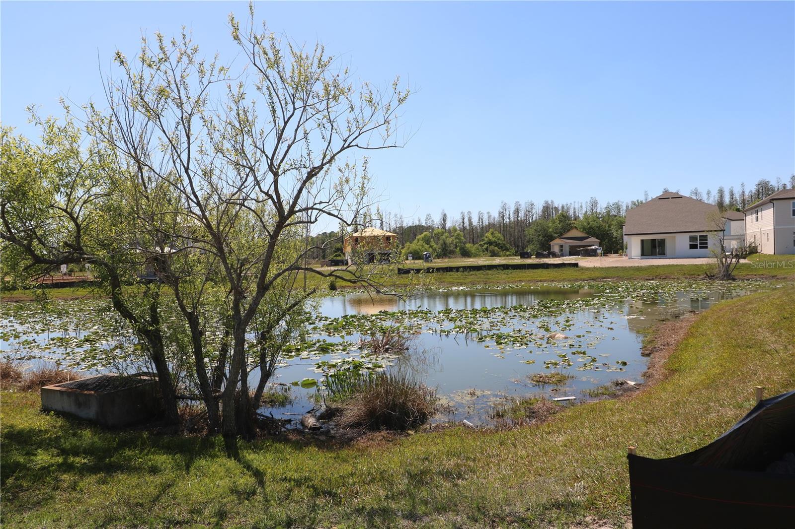 1210 MUMFORD CT, ZEPHYRHILLS, FL, 33541
