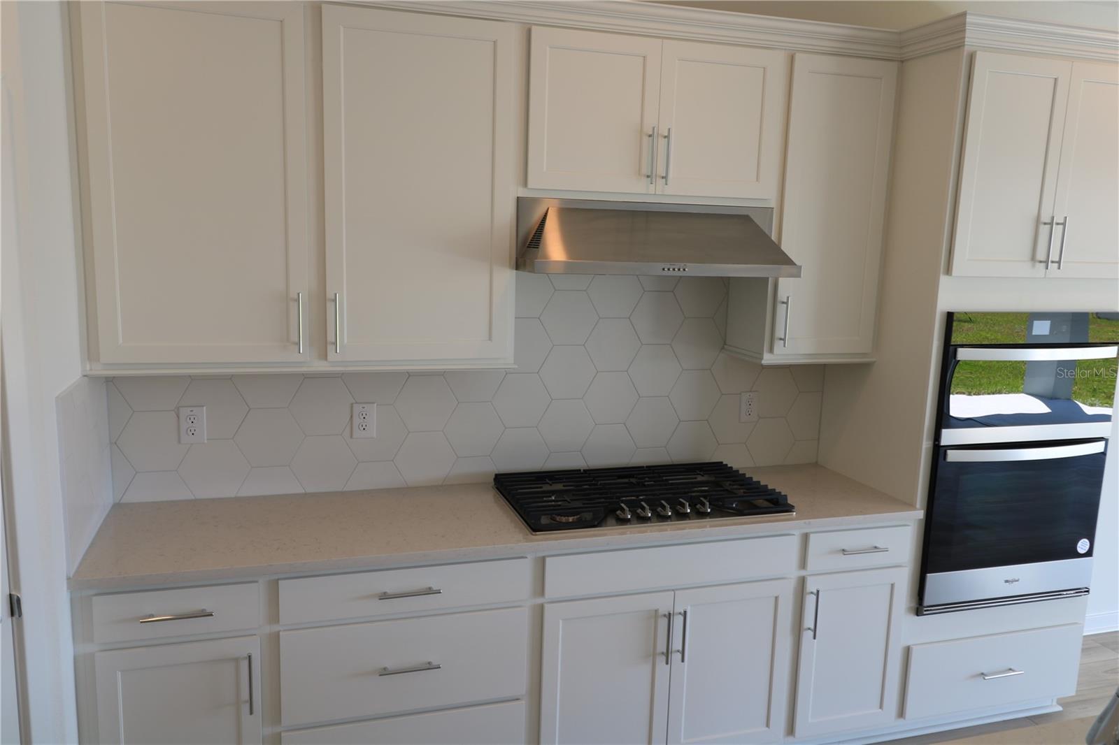 1210 MUMFORD CT, ZEPHYRHILLS, FL, 33541