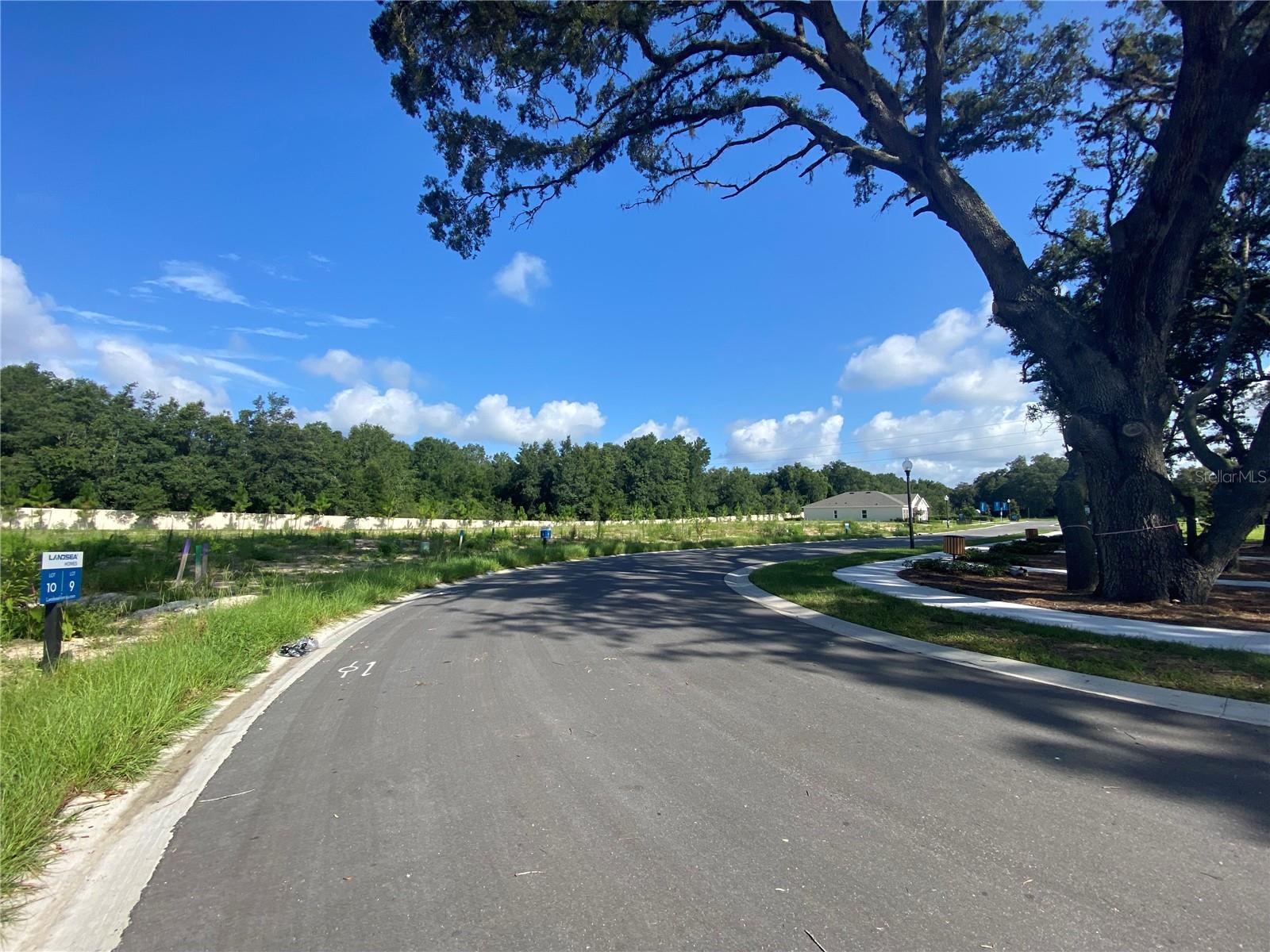 548 DARSHIRE AVE, EUSTIS, FL, 32736