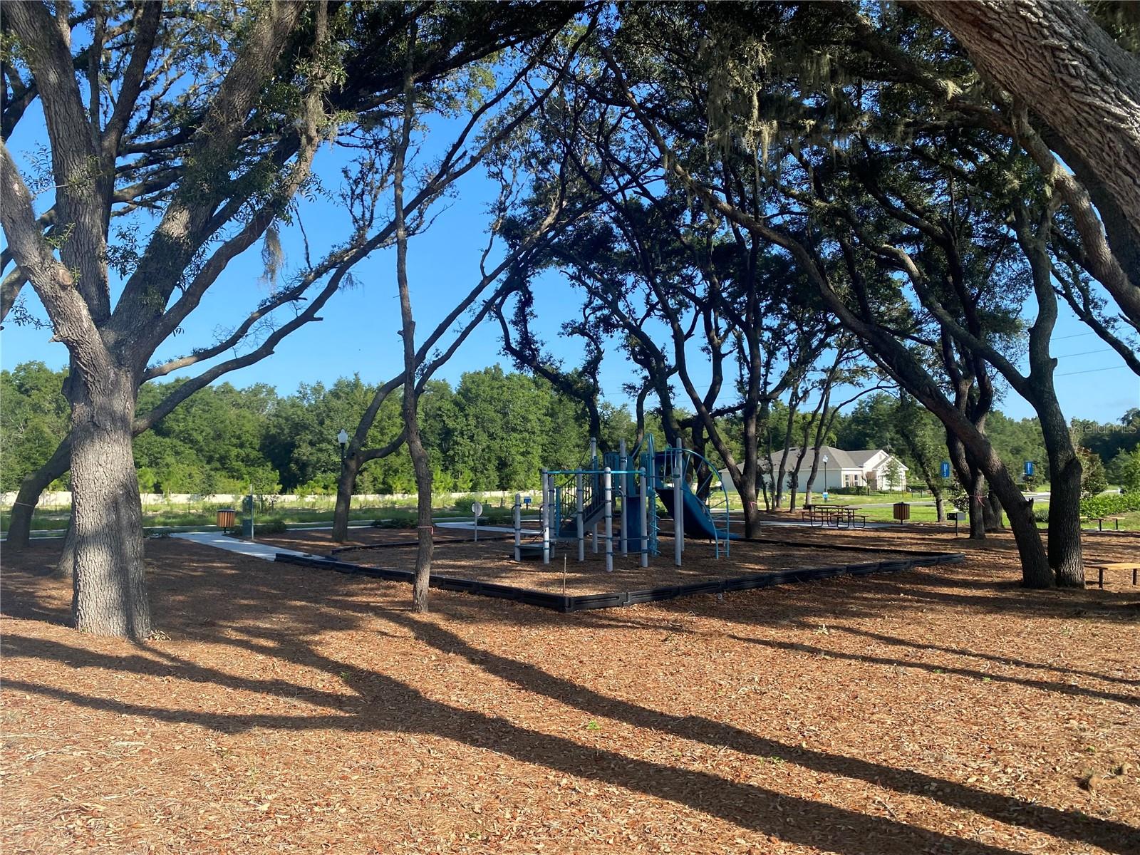 548 DARSHIRE AVE, EUSTIS, FL, 32736