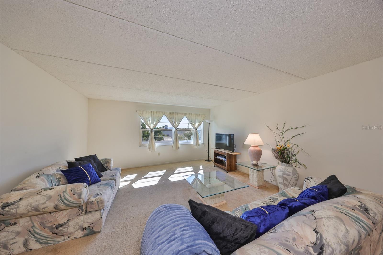 12300 PARK BLVD #202, SEMINOLE, FL, 33772