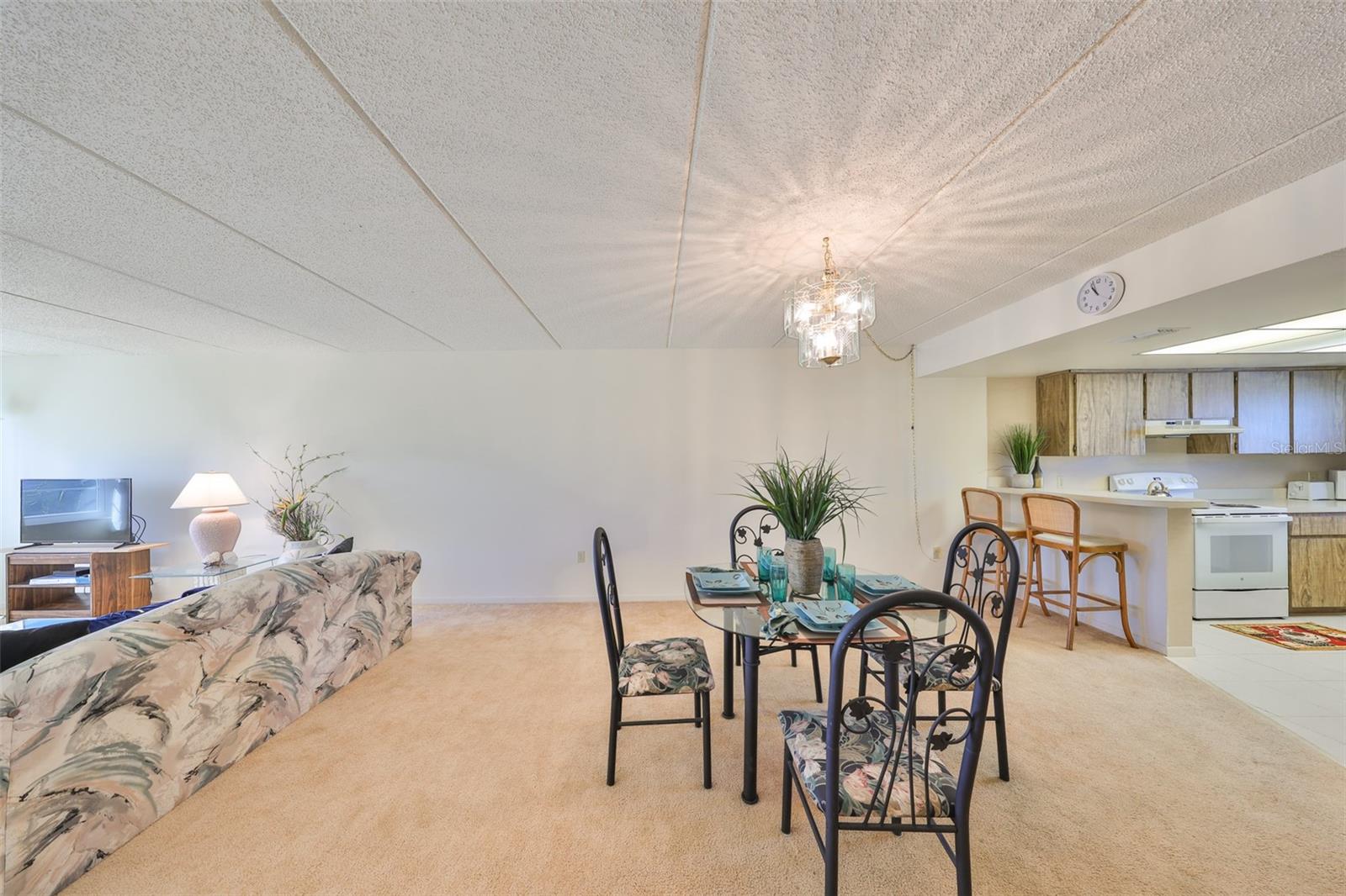 12300 PARK BLVD #202, SEMINOLE, FL, 33772