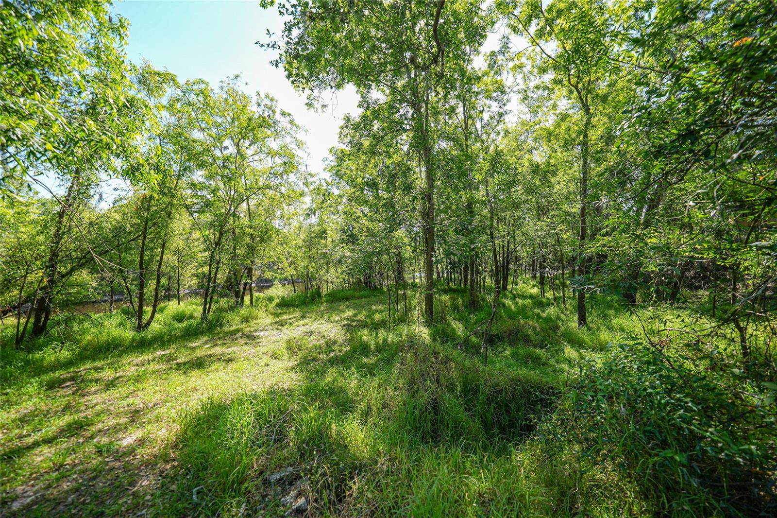 1144 NW HODENT RD, ARCADIA, FL, 34266
