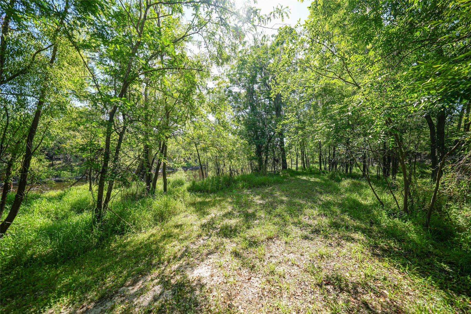 1144 NW HODENT RD, ARCADIA, FL, 34266