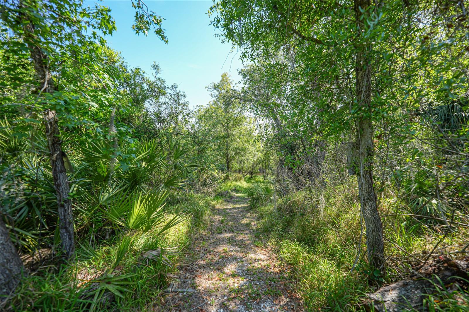 1144 NW HODENT RD, ARCADIA, FL, 34266