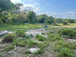 10725 DEMILLE RD, POLK CITY, FL, 33868