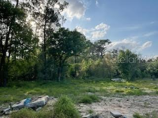 10725 DEMILLE RD, POLK CITY, FL, 33868