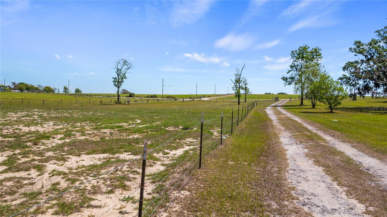 13215 MASCOTTE EMPIRE RD, GROVELAND, FL, 34736