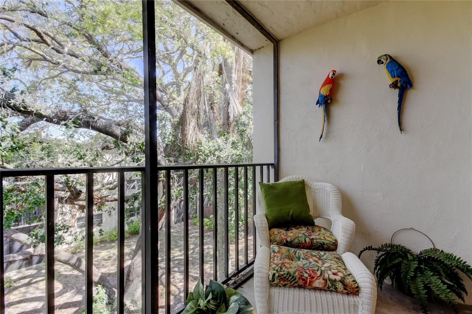 820 VIRGINIA ST #308, DUNEDIN, FL, 34698