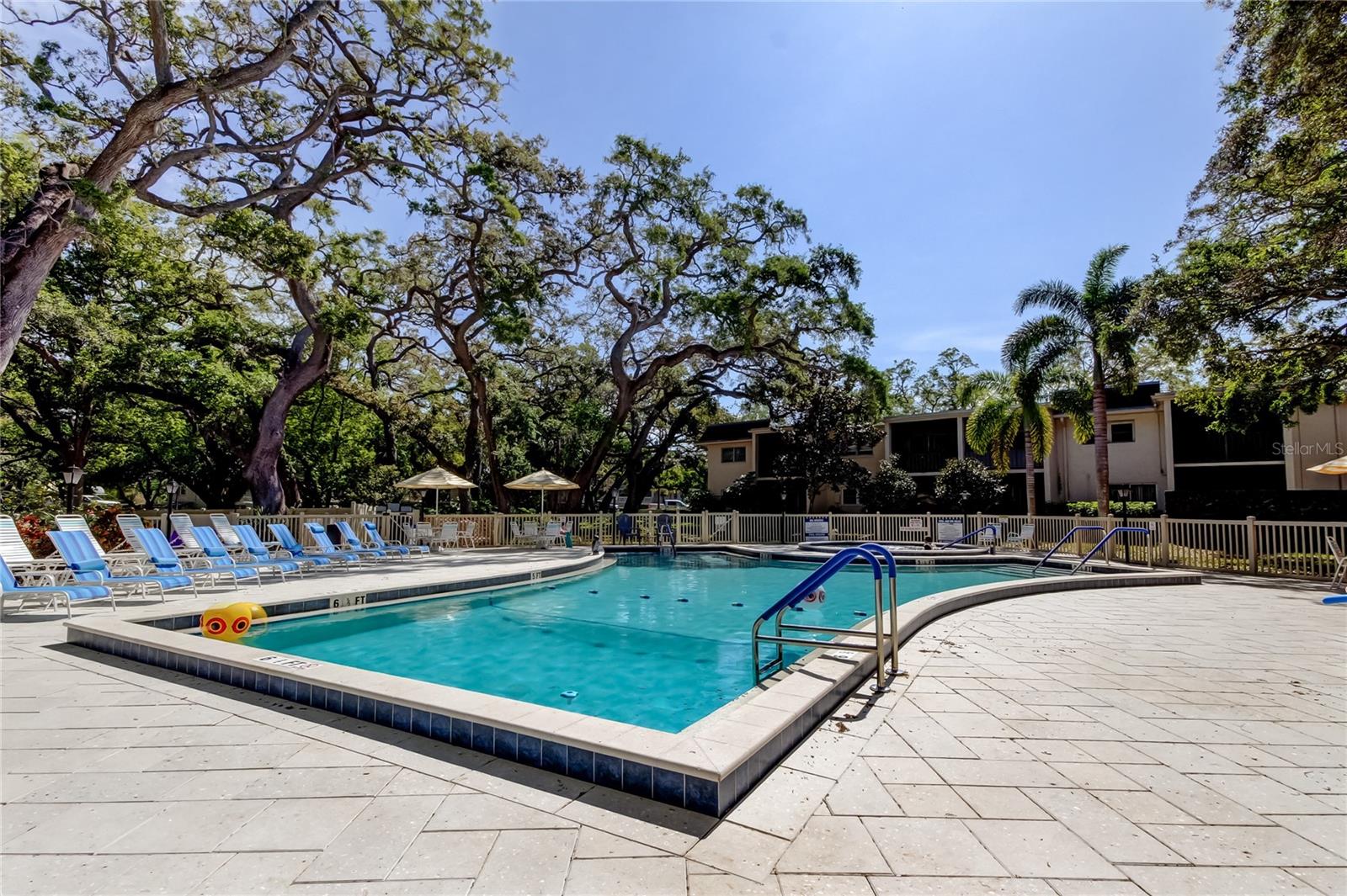 820 VIRGINIA ST #308, DUNEDIN, FL, 34698