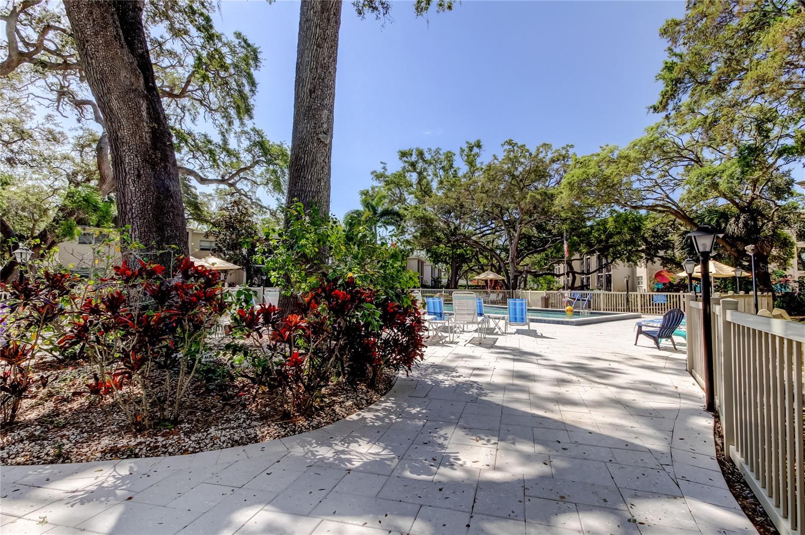 820 VIRGINIA ST #308, DUNEDIN, FL, 34698