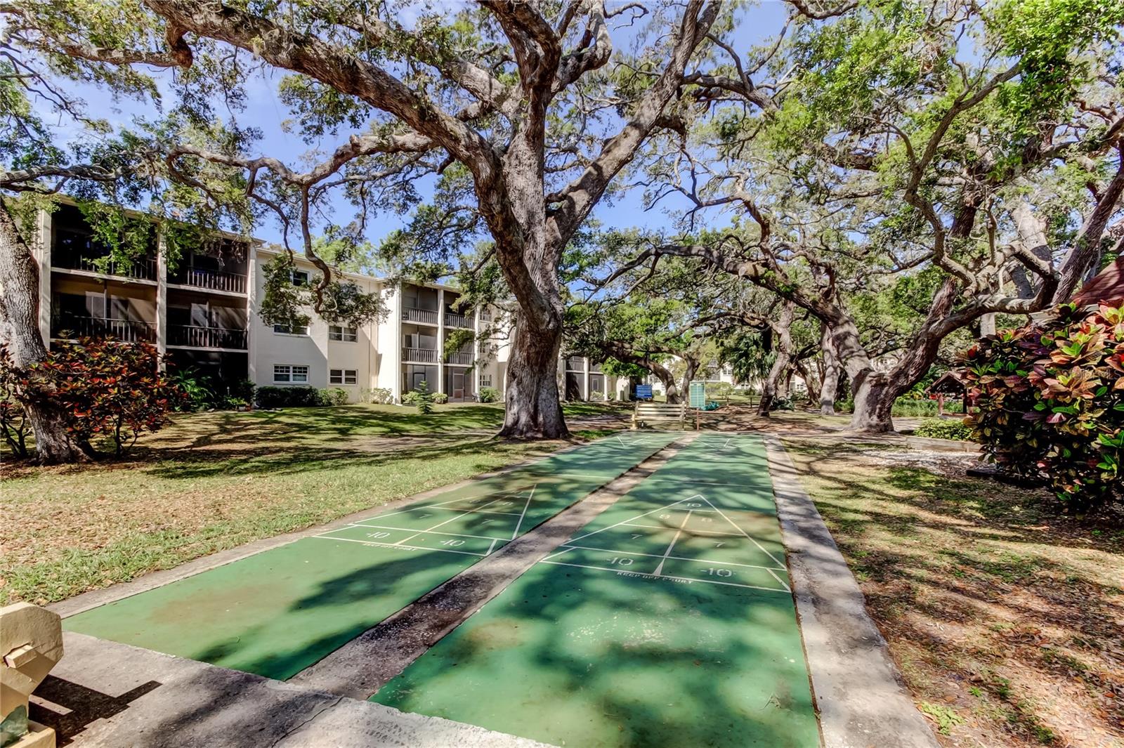 820 VIRGINIA ST #308, DUNEDIN, FL, 34698