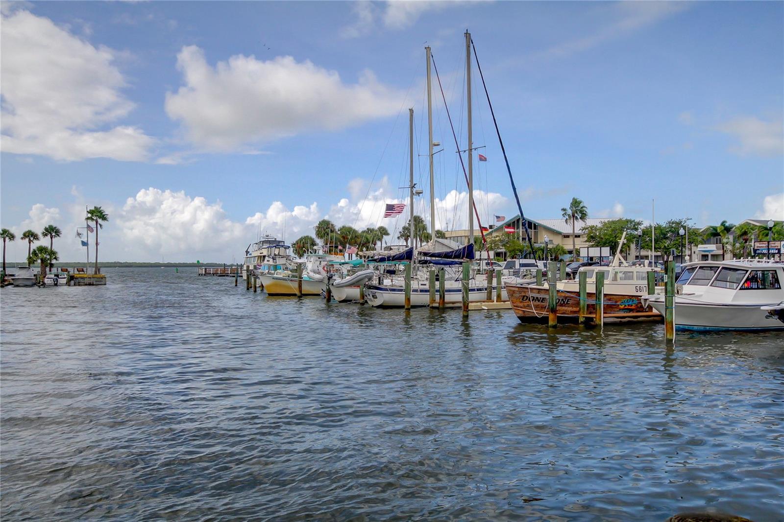 820 VIRGINIA ST #308, DUNEDIN, FL, 34698