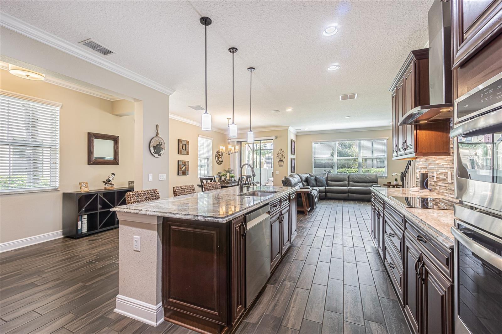 1948 MILKWEED TRCE, LUTZ, FL, 33558