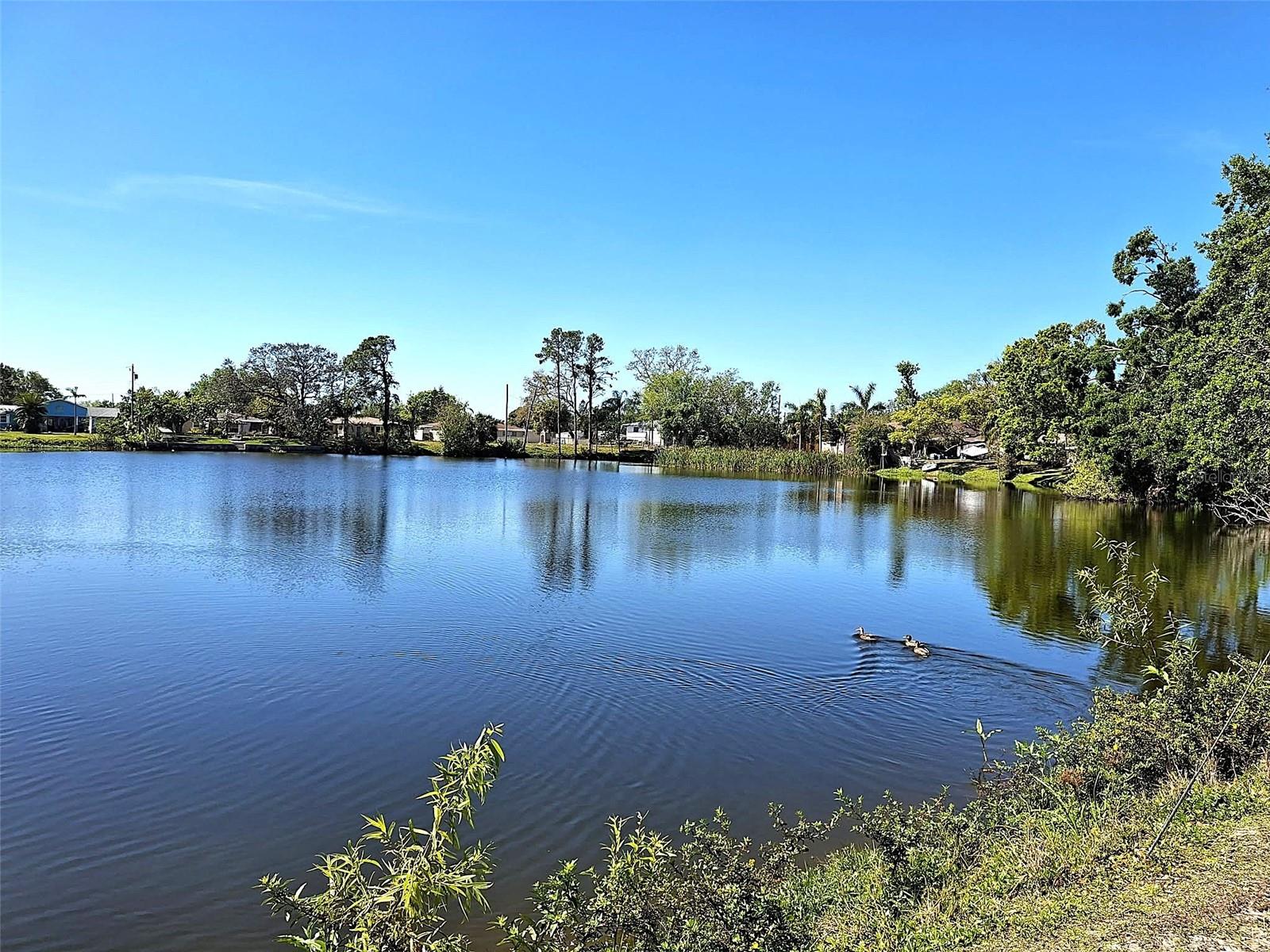 5560 61ST ST N, ST PETERSBURG, FL, 33709